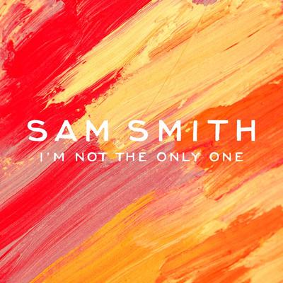 Sam Smith I M Not The Only One Radio Edit 歌词 中文歌词 Rapzh 中文说唱数据库