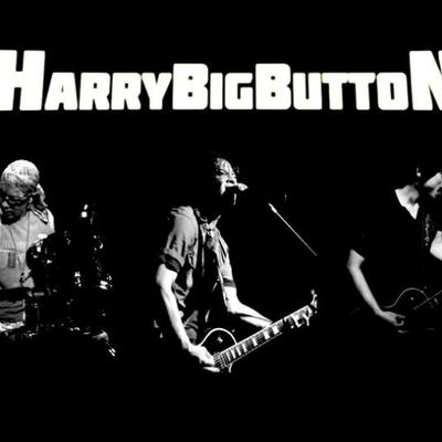 HarryBigButton