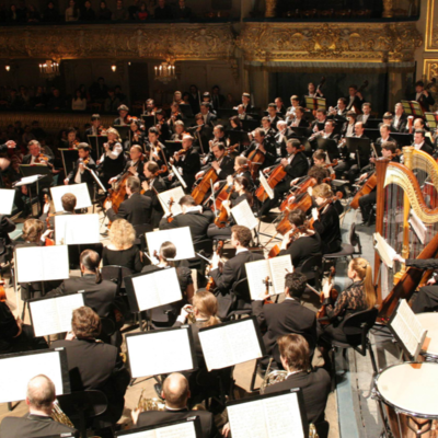 Orchestra of the Mariinsky Theatre