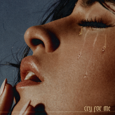 For 歌詞 cry me twice